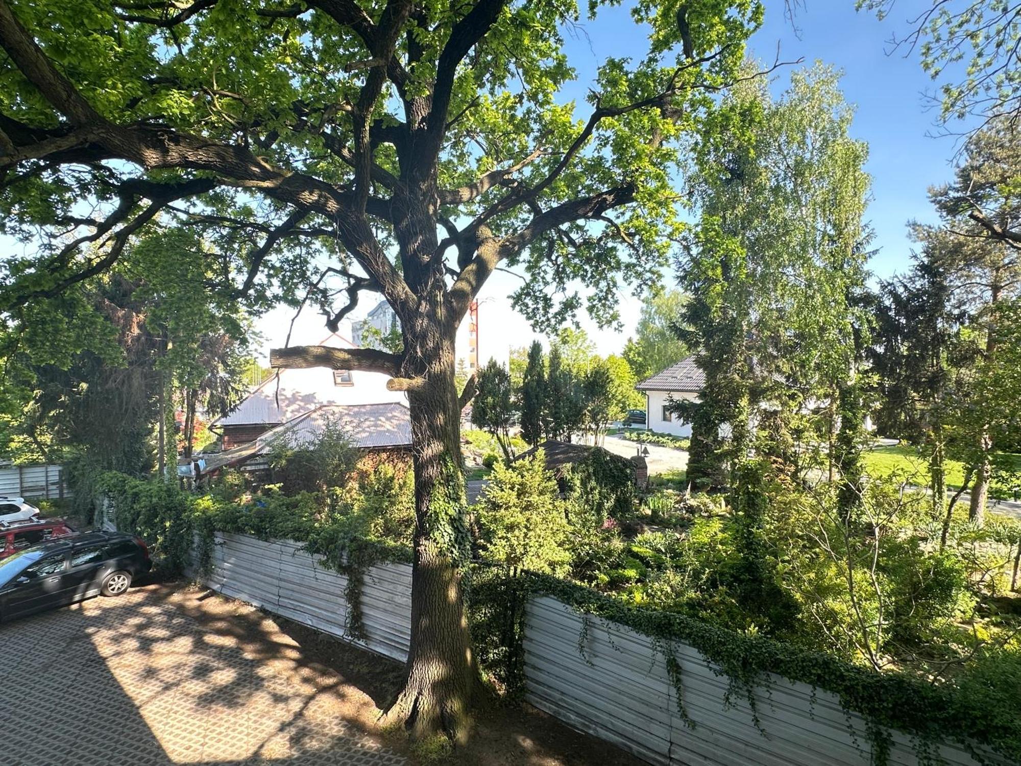 Moveen! Wynajem Apartamentow We Wroclawiu! 10 Minut Od Centrum ภายนอก รูปภาพ